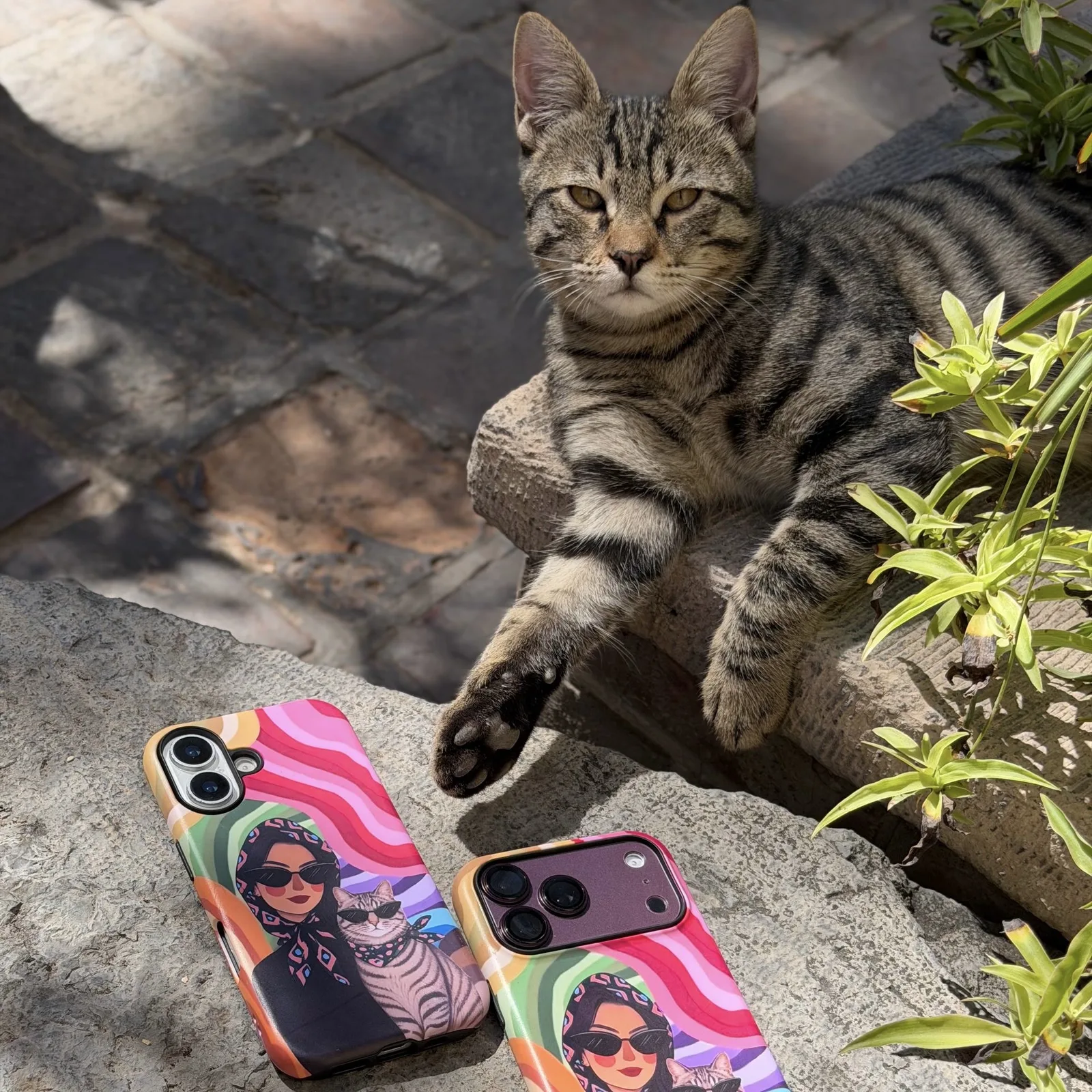 قاب woman & cat